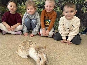 d621407a-5a3b-45a0-82ec-eab87a2cded8