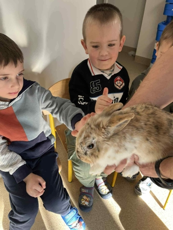 7232d25b-fde4-421d-849f-d8ca210b6068