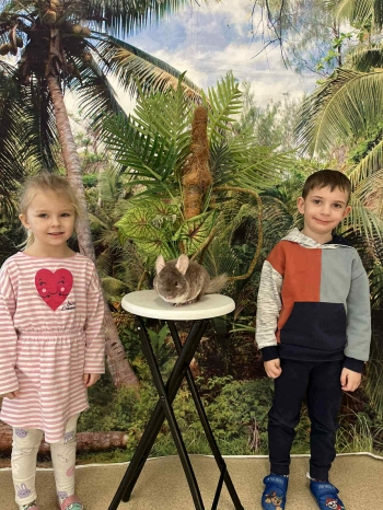 5272c9a2-8890-4a1d-a2f6-80769de87499