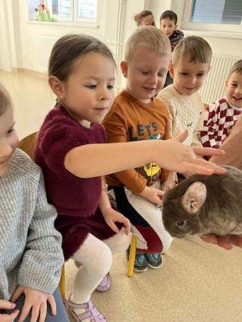 fdd35195-d3e6-4e8a-880d-0ea5bc1ad9d8