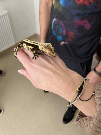 a7c97621-8013-4975-a056-348191f224dc