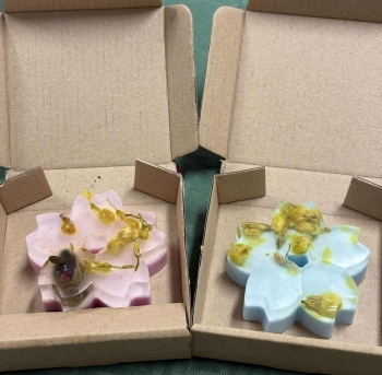 612405211_876114945354084_6318942732525144960_n