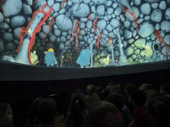 c14a557f-891e-4f41-98a4-9db01932ff2e