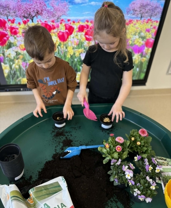 8ca74f9b-d8a4-409d-a2c7-f63e8455901c