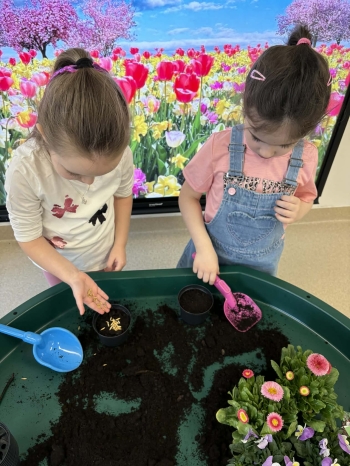 9f952721-fcb7-49eb-b074-1f5d43604188