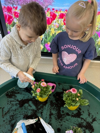 8cd28a84-5fe1-4f7e-b35d-d70aacb7dabd