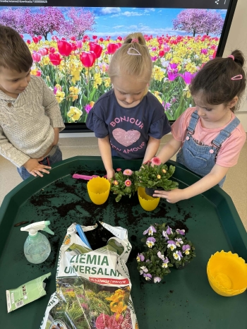 4750509b-cb4e-469d-9d1f-a447cb3e24d8