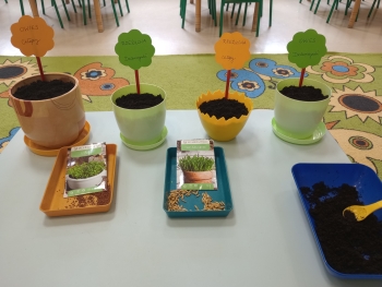 IMG_20260317_113032275