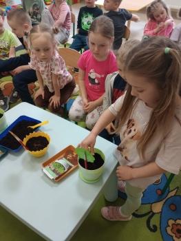 IMG_20260317_111826570