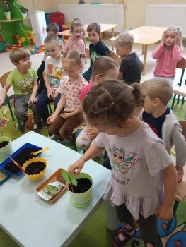 IMG_20260317_111752600