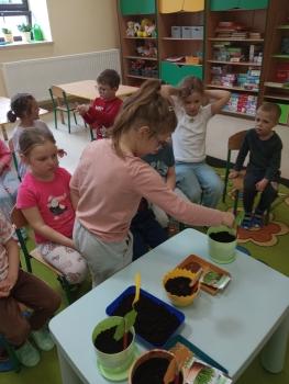 IMG_20260317_111648733