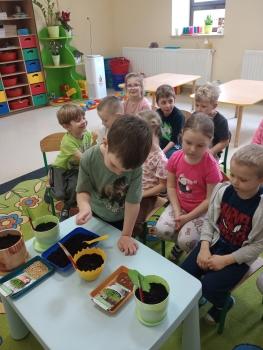 IMG_20260317_111638377