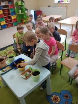 IMG_20260317_111551817