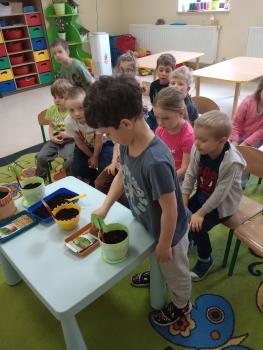 IMG_20260317_111540925