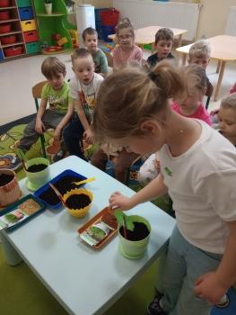 IMG_20260317_111529757