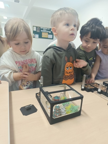 627385966_946164607947046_5864683067612102084_n