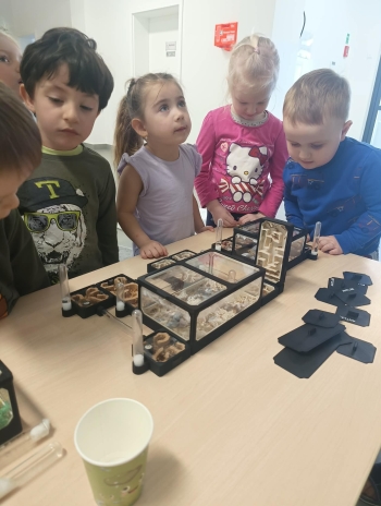 649220243_779996451835700_6883193720273790505_n