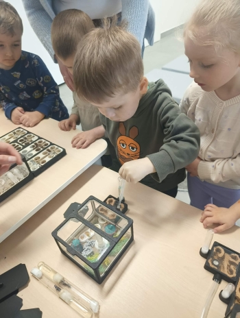 650248177_912400341718106_8931785021008372076_n