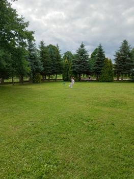 IMG_20260615_104138033_HDR