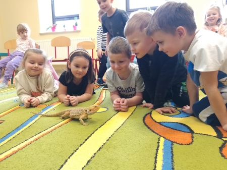 Pokaz zwierząt zoologicznych