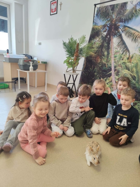 Warsztaty zoologiczne