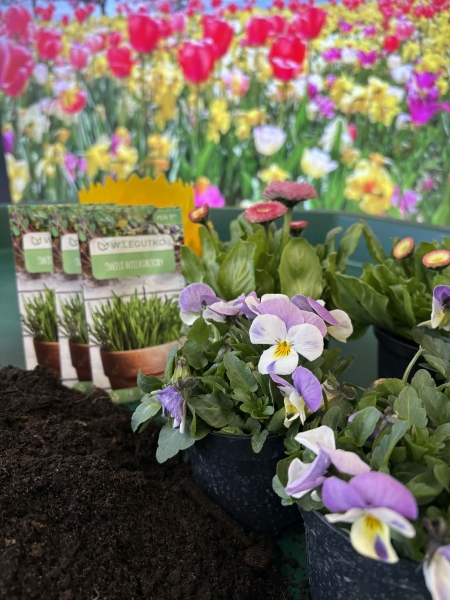 Warsztaty ogrodnicze - ''Od nasionka do roślinki''