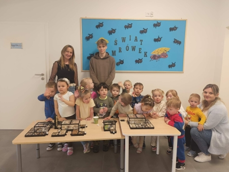 Obserwacja formikarium