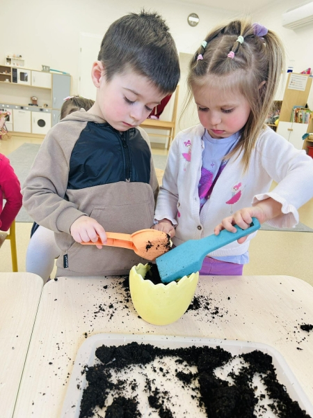 Od nasionka do roślinki... 